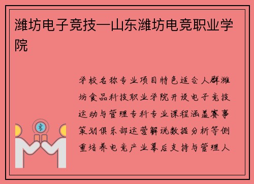 潍坊电子竞技—山东潍坊电竞职业学院